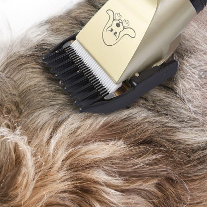 Pet Grooming Tool - Image 6