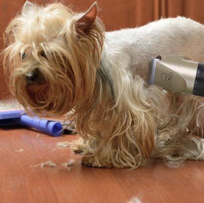 Pet Grooming Tool - Image 7